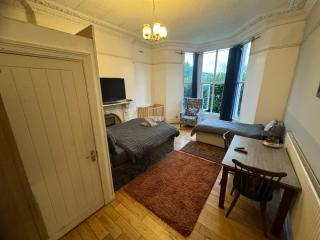 Old style room near Singleton Hospital sleeps three - Swansea - 1