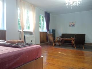 large bedroom with two separate beds - 4