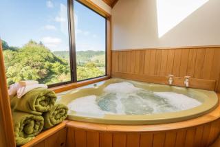 Ridge Retreat - Rotorua - 9