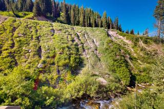 Creekside Chalet - Alta - 4