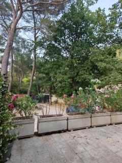 Lamaisonbleue - Auriol - 4