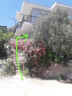 Olive grove mansion - kösedere village - Karaburun - 7