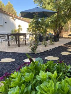 Bungalow avec piscine privative proche Aix en Provence - La Barben - 8