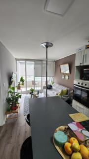 Cozy and nice apartment - Viña del Mar - 0