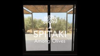 Spitaki Among Olives - Tsoukaladhes - 0
