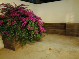 Residencial Fatima - Saltillo - 9