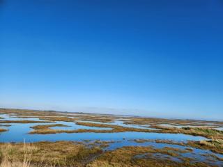 Historic Retreat Near To Mersea Island - Peldon - 8