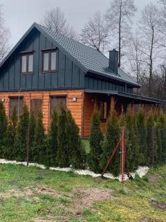 Domki nad stawem Majdan Nowy - - 2