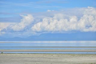 Kye Bay Winter Beach House by EMR Vacation Rentals - 7