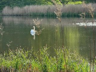 Charming flat in Brede - Kongens Lyngby - 3