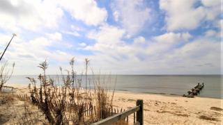 Coles Cove - Pet Friendly! - Villas - 5