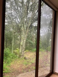 Casa del bosque - Jilotepec - 6