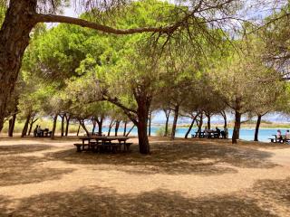 Escape to a terrace over Tavira's history - 6