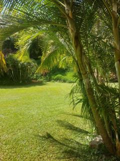 Heartland Garden, Kilimani - Nairobi - 1