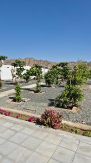 Chalet--J4--شاليه - Hatta - 1