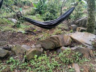 Jungle lodge Quillabamba all included - - 7
