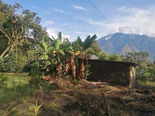 Jungle lodge Quillabamba all included - - 4