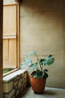 Casa Yu - Città di Oaxaca - 2
