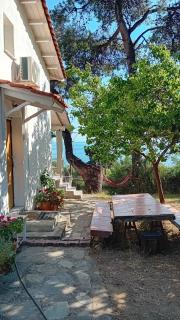 VILLA ALIKI THIS IS OUR HAPPY Place - Nea Skioni - 6