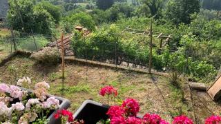 Casa vacanze montagna lucchese - Motrone - 4
