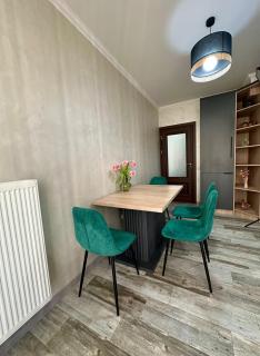 Cozy 1 BR Near Park, Mall Gym - Chişinău - 2