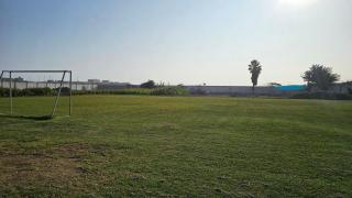 Las Flores de Moche - 2