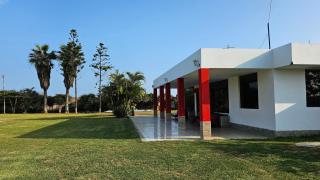 Las Flores de Moche - 6