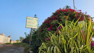 Las Flores de Moche - 5