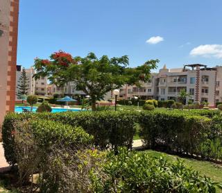 Marselia Beach 1 Camellia - 9