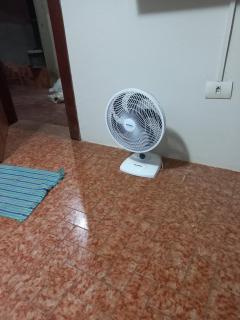 Acordar com cantar do passaro - Jaboticabal - 6