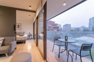 Spacious apartment steps from Escuela Militar - Santiago - 0
