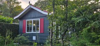 De Kleine kriemelkuil-Het Koentje - Ermelo - 9