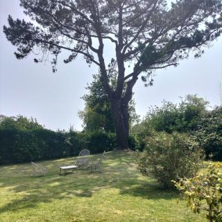 AU GRAND PIN - Fouesnant - 6