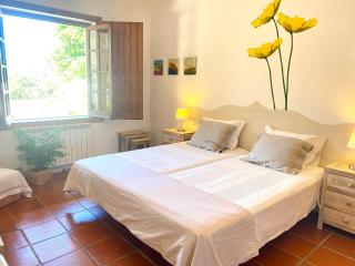 Casa Raiz Guest House & Retiro - Ferreira do Zêzere - 5