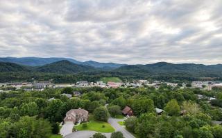 4 Cubs Cove - Pigeon Forge - 6