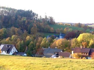 Waldhaus im Erzgebirge - 1