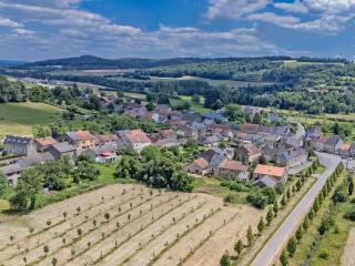 Gite du Bois - Guignicourt-sur-Vence - 2