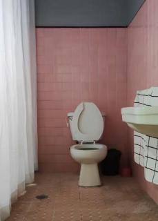 Lindo, cómodo y céntrico depto - Guadalajara - 5