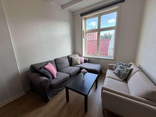 3NG47 - Cheap Central 4BR Apartment - Bergen - 2