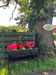 Wee Shepherds Hut Maybole - Maybole - 4