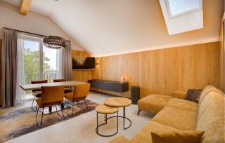 Nice Apartment In Rogasovci With Sauna - Rogašovci - 7