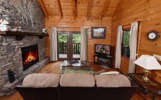 Bear Elegance - Gatlinburg - 8