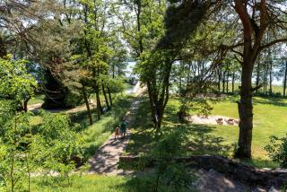 Domek na wodzie Topiko Czarter - Leśna Przystań - Węgorzewo - 5