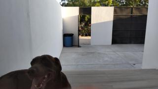 Tacho's House privacy comfort 5 luxury - La Paz - 7