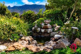 The Rose Garden Estate with Swim Spa - an Irvie Home - Albuquerque - 0