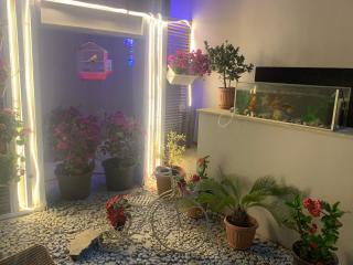 Rent trend in Egypt And world the icon Boutique hotel - Sheikh Zayed - 7