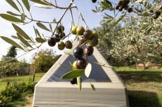 Glamping la lodola - Crocino - 9
