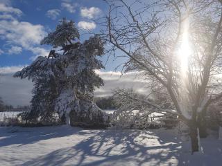 Holiday Home in Theux near Spa Thermal Baths - 6