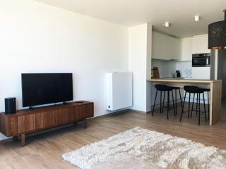 Apartment in Middelkerke with Stunning Sea Views - 4