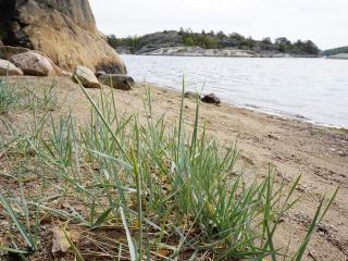 7 person holiday home in STRÖMSTAD - Strömstad - 2